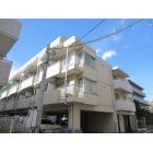�ޥ󥹥꡼�ޥ󥷥�� ���ޥץ顼���� ����