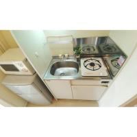 ���������꡼�ޥ󥷥�󡦥ޥ󥹥꡼�ޥ󥷥������� �Ķ��衡ʪ�����