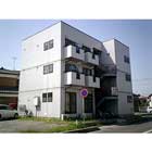 �ޥ󥹥꡼�ޥ󥷥�� ��롡���㥹�ȥޥ󥹥꡼���Ӱ��ִ� ����