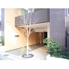 �ʥޥ󥹥꡼��HOMES��¢���� ����