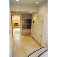 ���������꡼�ޥ󥷥�󡦥ޥ󥹥꡼�ޥ󥷥������� ���ɶ衡ʪ�����