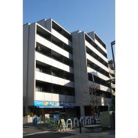 ���������꡼�ޥ󥷥�󡦥ޥ󥹥꡼�ޥ󥷥������� ����ë�衡ʪ�ﳰ��