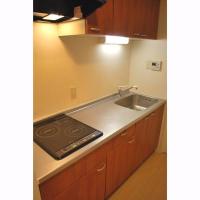 ���������꡼�ޥ󥷥�󡦥ޥ󥹥꡼�ޥ󥷥������� ����ë�衡ʪ�����