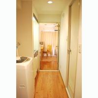 ���������꡼�ޥ󥷥�󡦥ޥ󥹥꡼�ޥ󥷥������� Į�Ļԡ�ʪ�����