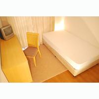 ���������꡼�ޥ󥷥�󡦥ޥ󥹥꡼�ޥ󥷥������� Į�Ļԡ�ʪ�����