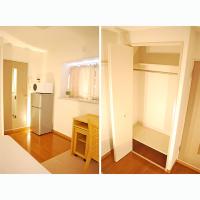 ���������꡼�ޥ󥷥�󡦥ޥ󥹥꡼�ޥ󥷥������� Į�Ļԡ�ʪ�����