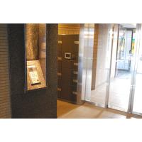 ���������꡼�ޥ󥷥�󡦥ޥ󥹥꡼�ޥ󥷥������� �����Ķ衡ʪ�����