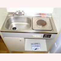 ���������꡼�ޥ󥷥�󡦥ޥ󥹥꡼�ޥ󥷥������� ���϶衡ʪ�����