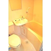 ���������꡼�ޥ󥷥�󡦥ޥ󥹥꡼�ޥ󥷥������� ���϶衡ʪ�����