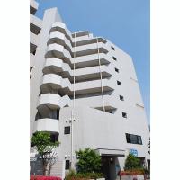 ���������꡼�ޥ󥷥�󡦥ޥ󥹥꡼�ޥ󥷥�󡡺�̸� �������޻���衡ʪ�ﳰ��