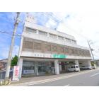 �ޥ󥹥꡼�ۥƥ뿷�ޤ��⡡�μ��������ͥץ�� ����