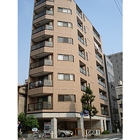 �ޥ󥹥꡼�ޥ󥷥�� ���ѥѥ��ƥ��ӻ�Į ����