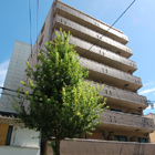���������꡼�ޥ󥷥�� ̾�Ų� ��̾�Ų���4ʬ��1997LuxuryCourt̾�Ų�