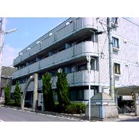 Max伊予立花≪スタンダードシリーズ≫ 外観