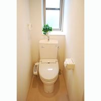 �ޥ󥹥꡼�ޥ󥷥�󡡻ԥ�ë�����5