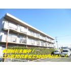 �ޥ󥹥꡼�ޥ󥷥�� ����������ե�����ε�� ����