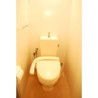 ���������꡼�ޥ󥷥�󡦥ޥ󥹥꡼�ޥ󥷥������� Ω��ԡ�ʪ�����