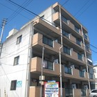 �ޥ󥹥꡼�ޥ󥷥�� �����å�����ʡ��Į�� ����