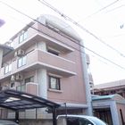 ���åɥ��ƥ����͡������Сڥ��󥰥롦�ͥå��б�����̾����ġ�