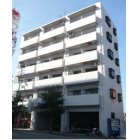 �ޥ󥹥꡼�ޥ󥷥�� ��ɲ���饤�ե��������ݸ�Į ����