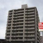 �饤���󥺥��ơ������ץ饶���� ����