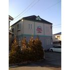 �ޥ󥹥꡼�ޥ󥷥�� ʡ�桡����󡦥ɡ��ե롼�� ����