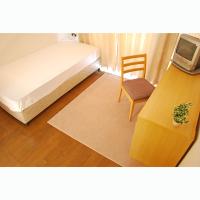 ���������꡼�ޥ󥷥�󡦥ޥ󥹥꡼�ޥ󥷥������� ����ԡ�ʪ�����