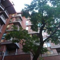 Max�Ļ����������ƥ���NET�б��ۢ㥹��������ɥ��꡼���� ����