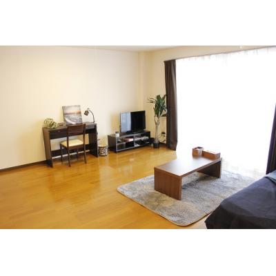 リブロマンスリー静岡駅前N3　★ネット無料★【オール電化】の物件写真1