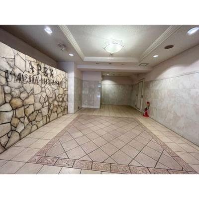 🚅▰▰ ˡͷ ▰▰🌲🌲biz-Monthly䲰̡81390802ʪ̿6