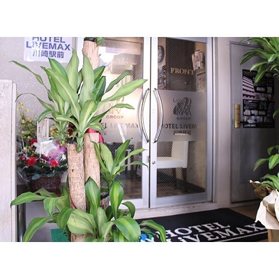 ޥ󥹥꡼֥ޥåإڥåȲġر١ڥ󥰥롼Aۢ㥹ޡȥ꡼ʪ̿2