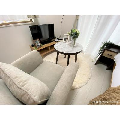 ●2026年5月9日から入居可●ユニオンマンスリー東船橋ルーチェ１　103　1R・シングル☆パリアパルトマン風＆アクセントクロスの物件写真5