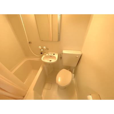 ユニオンマンスリー相武台前２　202　1K・セミダブル☆人気の角部屋＆２面採光♪モニター付きインターフォン完備♪ドレッサー付き♪の物件写真3