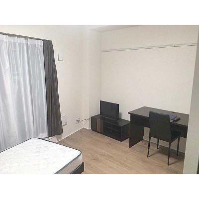 【✨🌅❄年末年始大感謝祭❄🌅✨】【禁煙🚭/Wi-Fi無料🌐】マイナビSTAY大師橋　502の外観画像