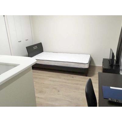 【✨🌅❄年末年始大感謝祭❄🌅✨】【禁煙🚭/Wi-Fi無料🌐】マイナビSTAY大師橋　303の外観画像