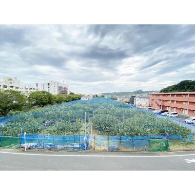 ユニオンマンスリー稲城２　310　1R・シングル☆快適なソファ付き♪■京王相模原線「稲城駅」徒歩7分/駒沢女子大学へのアクセス便利の物件写真6