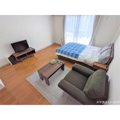 ユニオンマンスリー北越谷１　202　1R・セミダブル☆快適なソファ付き♪■東武伊勢崎線(スカイツリーライン)沿線の物件写真2