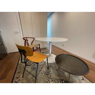 築浅！ペット飼育可！（猫のみOK）デザイナーズ家具付きハイグレード鉄筋コンクリートマンション！インターネット無料！中野駅11分・ＭＨ中野Ⅹの物件写真3