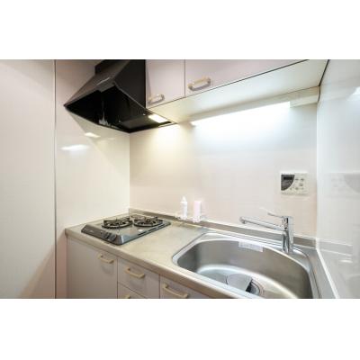 お試し同棲/新生活/家具家電完備/DeLCCS山吹神楽坂III401の物件写真3