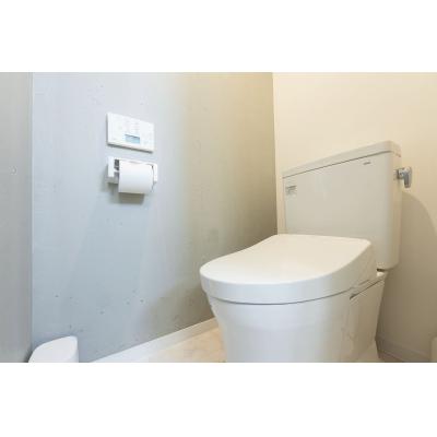 新築の綺麗な物件♪/両国エリア徒歩圏内/観光地アクセス良好/FELICE森下402の物件写真6