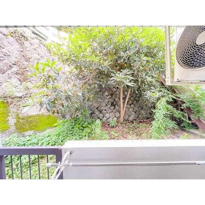 ˥ޥ󥹥꡼ַ1111R󥰥ڶر롼ۿ͵γǥʤŤΤ뤪ʪ̿6