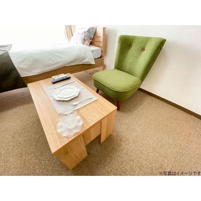 ユニオンマンスリー京王稲田堤３　206　1R・シングル☆【禁煙ルーム】ローテーブル・ソファのあるお部屋♪洗濯機や掃除機など生活家電完備の物件写真4