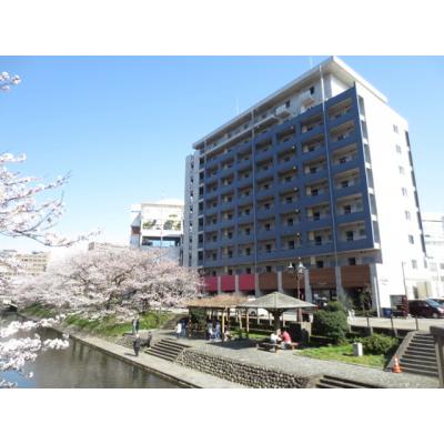 アパマートマンスリー富山駅南 桜木町 Wi-Fi無料 1LDK (ec)の物件写真2
