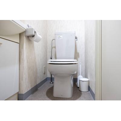 大久保駅から徒歩2分！新大久保駅から徒歩5分！飲食店多数/wi-fi完備/シャルマンやよい202の物件写真6