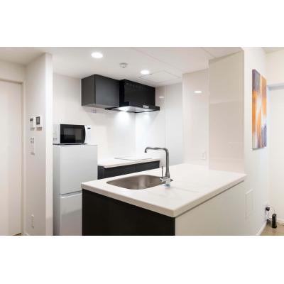 広々3LDKのお洒落なデザイナーズ！/スカイツリーまで徒歩10分圏内！/ASTILE押上201の物件写真3