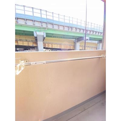 ˥ޥ󥹥꡼ͣ1061K󥰥ڶر롼ۿ͵γ¿ηʪAL˥դ󥿡ե󡦼ʪ̿6