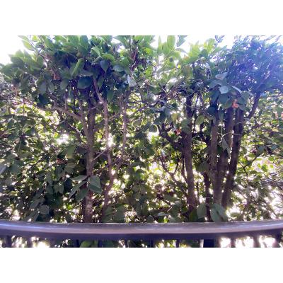 ユニオンマンスリー東村山３　107　1K・シングル☆【禁煙ルーム】安心のモニター付きインターフォン・室内洗濯機完備！デスク・チェア＆たっぷり収納2ドア冷蔵庫や電子レンジなど生活家電のあるお部屋の物件写真6