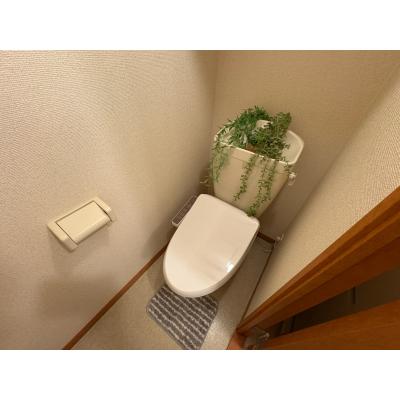 ԡ̾Ŵֳӱء3ʬWi-Fi̵ʪ̿6