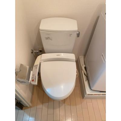 OneLifeͥƥڢΩ桢Ἴ絡ۤʪ̿5