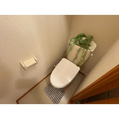 ԡ̾Ŵֳӱء3ʬWi-Fi̵ʪ̿5